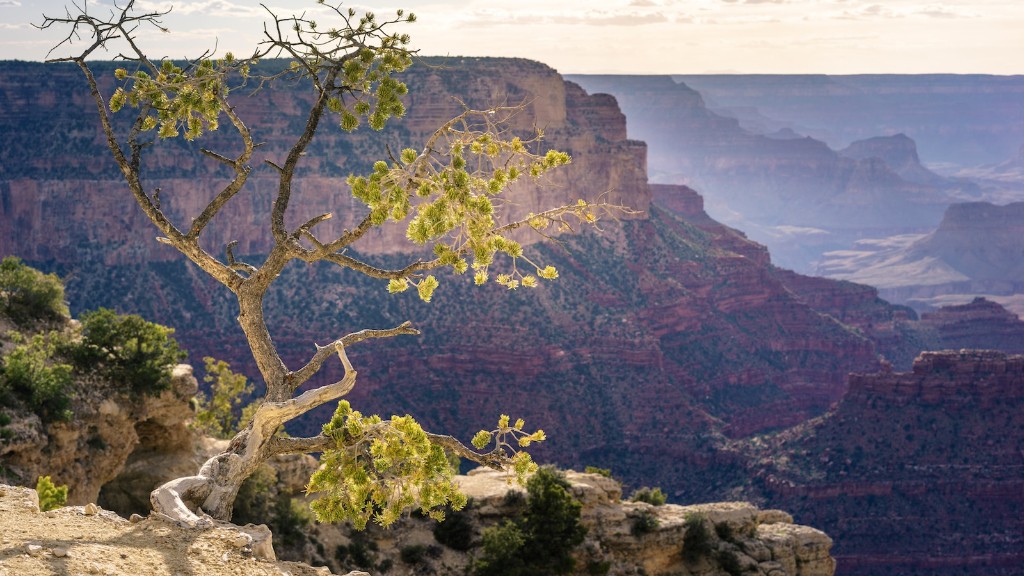 Πόσες ώρες από το Λας Βέγκας στο Grand Canyon