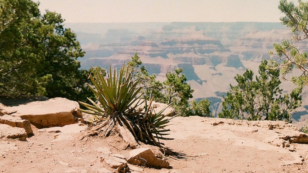 Πότε ανοίγει το Grand Canyon την άνοιξη