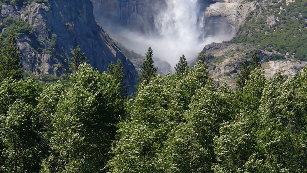 Μια εικόνα του Yosemite Sam