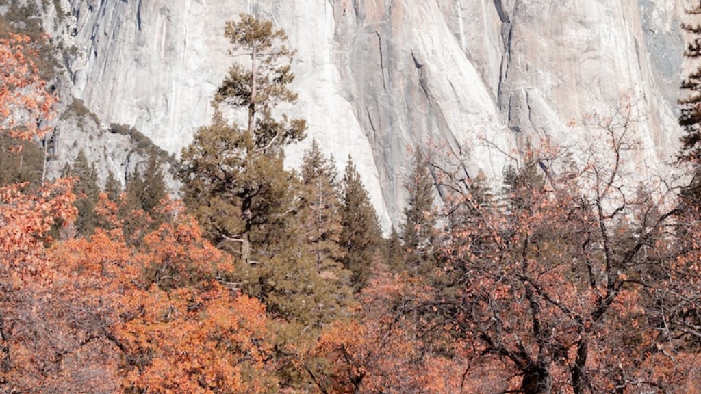 Ποιο είναι το μεγαλύτερο δέντρο στο εθνικό πάρκο Yosemite